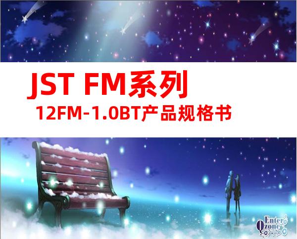 JST FM系列 12FM-1.0BT产品规格书